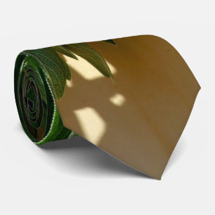 Frischschnitt Krawatte