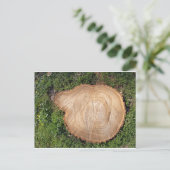 Frischschnitt Postkarte (Stehend Vorderseite)