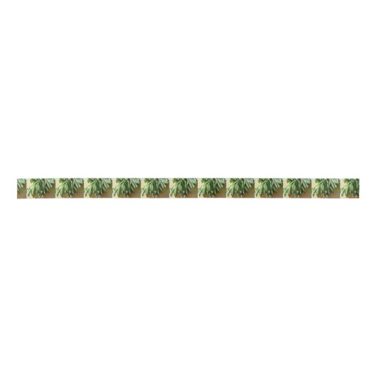 Frischschnitt Satinband (Vorderseite)