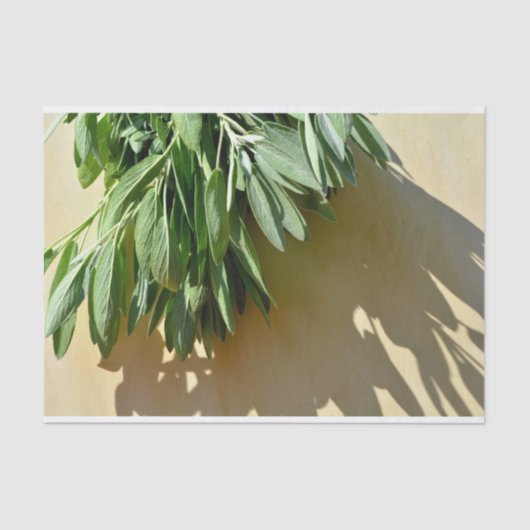 Frischschnitt Seidenpapier (Vorderseite)