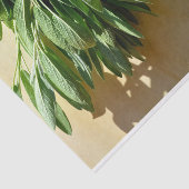 Frischschnitt Seidenpapier (Ausschnitt)