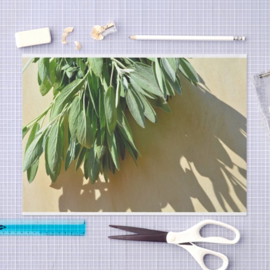 Frischschnitt Seidenpapier (Handwerk)