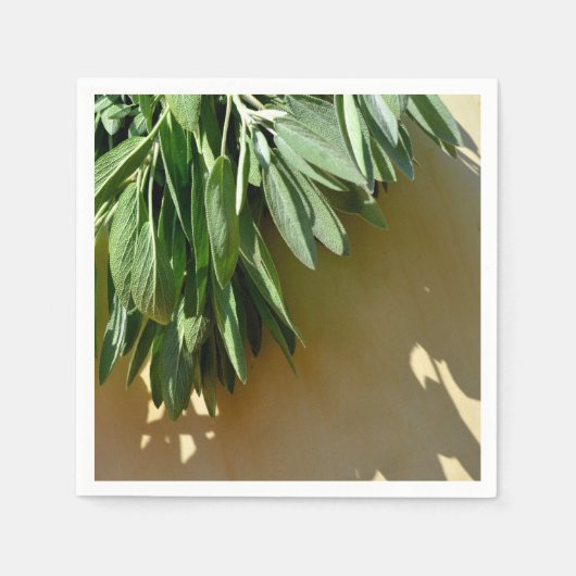 Frischschnitt Serviette (Vorderseite)