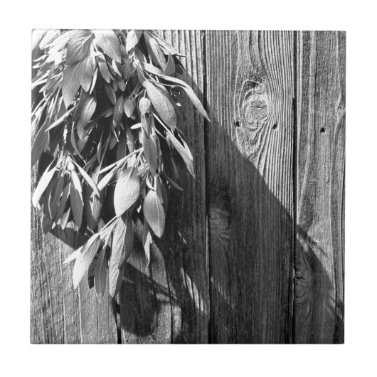 Frischschnitzel-Schnittholz-Graustufen Fliese (Vorderseite)