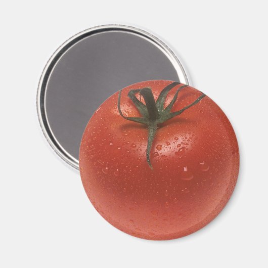 FrischTomate Magnet (Vorderseite/Rückseite)