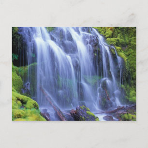 Frischwasser der Frühlingszeit, das über Moos flie Postkarte