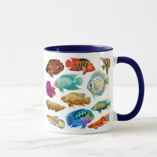 Frischwasseraquarium fischt Tasse