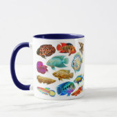 Frischwasseraquarium fischt Tasse (Links)