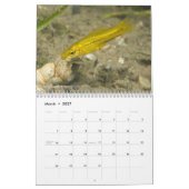 Frischwasserfische von Kalender Mexikos 2011 (Mär 2027)