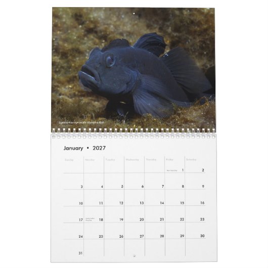 Frischwasserfische von Kalender Mexikos 2011 (Jan 2027)