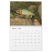 Frischwasserfische von Kalender Mexikos 2011 (Feb 2027)