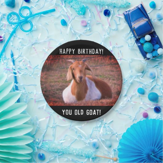 Frischziege Geburtstag Pappteller (Party)