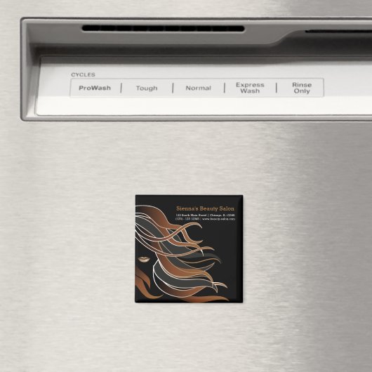 Friseur Magnet (In Situ (Geschirrspüler))