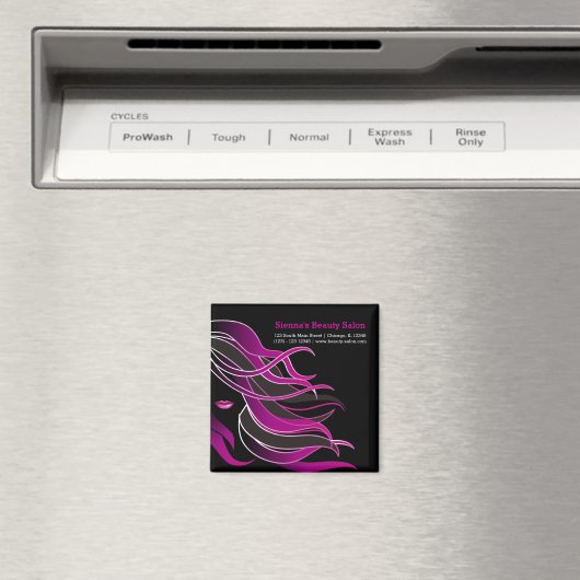 Friseur Magnet (In Situ (Geschirrspüler))