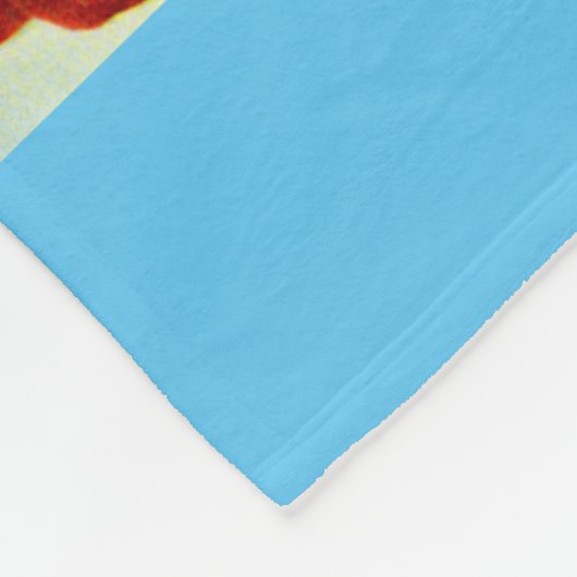 Friseurgitter der 60er Jahre Fleecedecke (Ecke)