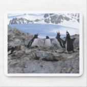 Friseursalonquartett Mousepad (Vorne)