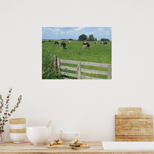 Frisian Holstein Cattle Dairy Cows Foto Poster (Küche)