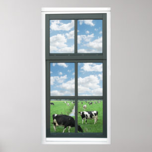 Frisian Holstein Cows Farm Imitats Window View Pos Poster