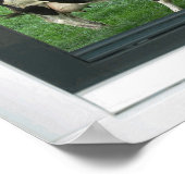 Frisian Holstein Cows Farm Imitats Window View Pos Poster (Ecke)