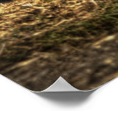 Frisierte Auto Poster (Ecke)