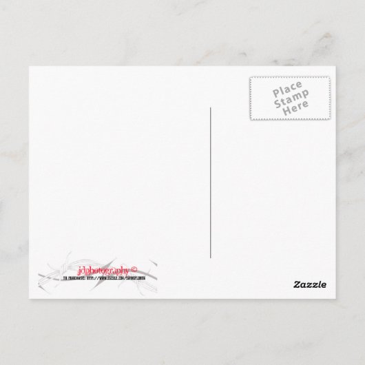 frisierte Autos Postkarte (Rückseite)