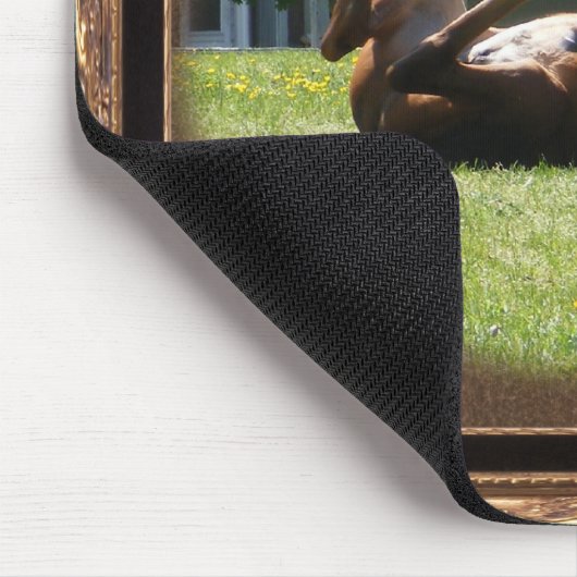 Frisky Fohlen ~ mousepad (Ecke)