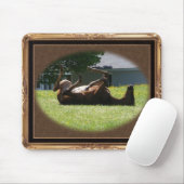 Frisky Fohlen ~ mousepad (Mit Mouse)