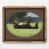 Frisky Fohlen ~ mousepad (Vorne)