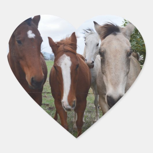 Frisky Hair: Delikate Pferdeschwanze, Herz-Aufkleber (Vorderseite)