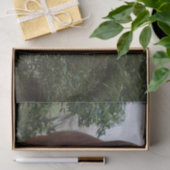 Frisky Hair: Delikate Pferdeschwanze, Seidenpapier (Geschenk)