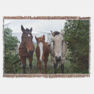 Frisky Hair, Four Horse Pals, Decke