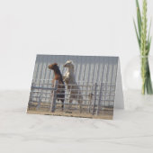 Frisky Pferde, Valentinstag Feiertagskarte (Rückseite)