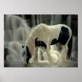 Frison, Papier-Plakat (matt) Poster (Vorne)