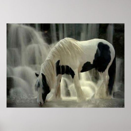 Frison, Papier-Plakat (matt) Poster (Vorne)