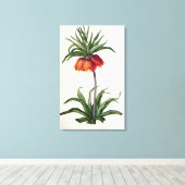 Fritillaria Imperialis, `Les Lilacees', 1802- Leinwanddruck (Insitu (Holzboden))