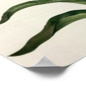 Fritillaria Imperialis, `Les Lilacees', 1802- Poster (Ecke)