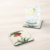 Fritillaria Imperialis von, "Les Lilacees", 1802- Untersetzer (Rechte Seite)