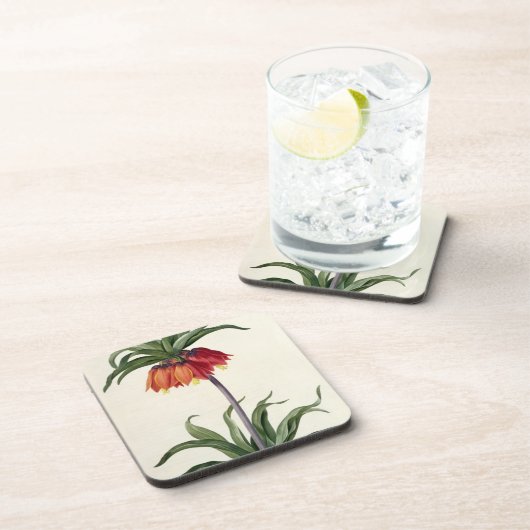 Fritillaria Imperialis von, "Les Lilacees", 1802- Untersetzer (Rechte Seite)