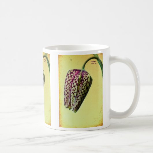 Fritillaria Meleagris Kaffeetasse (Rechts)