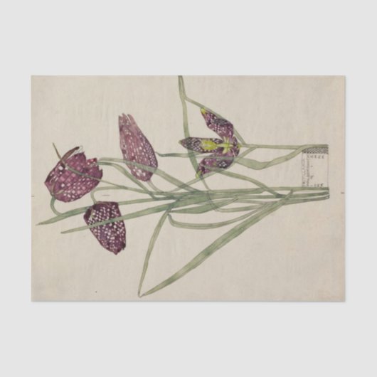 Fritillaria von Charles Mackintosh Seidenpapier (Vorderseite)