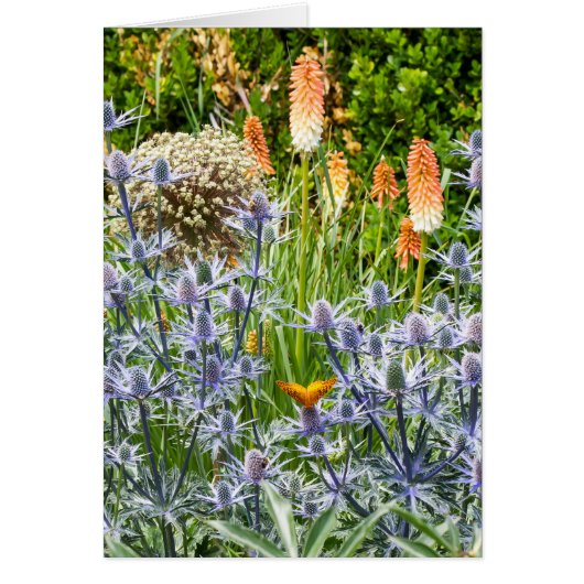 Fritillary Butterfly im Sommergarten (Vorne)