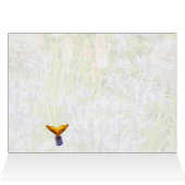 Fritillary Butterfly im Sommergarten (Innenansicht Horizontal (Oben))