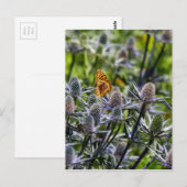 Fritillary Butterfly On Blue Thistle Postkarte (Vorne/Hinten)