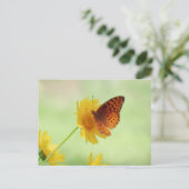 Fritillary Fun - Schmetterling Postkarte (Stehend Vorderseite)