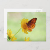 Fritillary Fun - Schmetterling Postkarte (Vorne/Hinten)