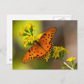 Fritillary Gulf Butterfly Geschenke und Bekleidung Postkarte (Vorne/Hinten)