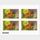 Fritillary Gulf Butterfly Geschenke und Bekleidung Rechteckiger Aufkleber (Blatt)
