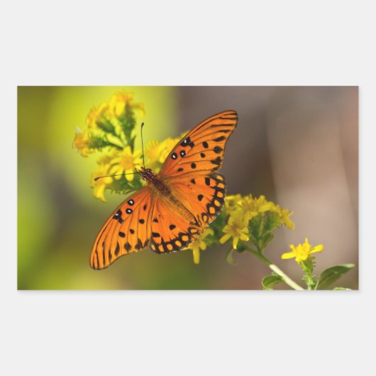 Fritillary Gulf Butterfly Geschenke und Bekleidung Rechteckiger Aufkleber (Vorderseite)