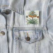 Fritillary: Korona Imperialis florum classe duplic Button (Beispiel)
