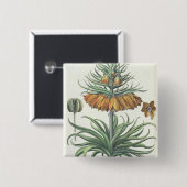 Fritillary: Korona Imperialis florum classe duplic Button (Vorne & Hinten)